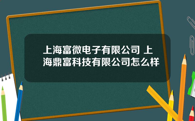 上海富微电子有限公司 上海鼎富科技有限公司怎么样